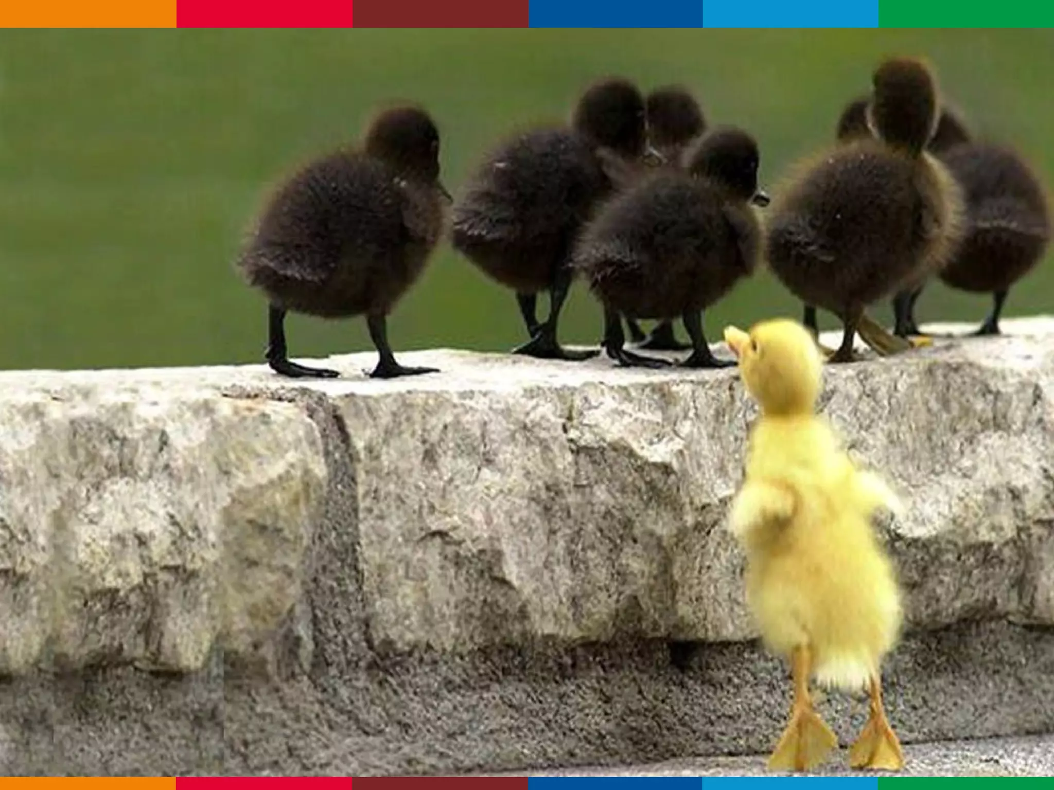 Globalcode – Open4education
 