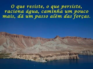 O que resiste, o que persiste, raciona água, caminha um pouco mais, dá um passo além das forças. 