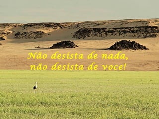 Não desista de nada,  não desista de voce!  