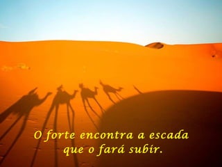 O forte encontra a escada que o fará subir. 