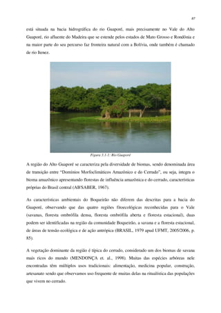 87
está situada na bacia hidrográfica do rio Guaporé, mais precisamente no Vale do Alto
Guaporé, rio afluente do Madeira que se estende pelos estados de Mato Grosso e Rondônia e
na maior parte do seu percurso faz fronteira natural com a Bolívia, onde também é chamado
de rio Itenez.
Figura 3.1-1: Rio Guaporé
A região do Alto Guaporé se caracteriza pela diversidade de biomas, sendo denominada área
de transição entre “Domínios Morfoclimáticos Amazônico e do Cerrado”, ou seja, integra o
bioma amazônico apresentando florestas de influência amazônica e do cerrado, características
próprias do Brasil central (AB'SABER, 1967).
As características ambientais do Boqueirão não diferem das descritas para a bacia do
Guaporé, observando que das quatro regiões fitoecológicas reconhecidas para o Vale
(savanas, floresta ombrófila densa, floresta ombrófila aberta e floresta estacional), duas
podem ser identificadas na região da comunidade Boqueirão, a savana e a floresta estacional,
de áreas de tensão ecológica e de ação antrópica (BRASIL, 1979 apud UFMT, 2005/2006, p.
85).
A vegetação dominante da região é típica do cerrado, considerado um dos biomas de savana
mais ricos do mundo (MENDONÇA et. al., 1998). Muitas das espécies arbóreas nele
encontradas têm múltiplos usos tradicionais: alimentação, medicina popular, construção,
artesanato sendo que observamos uso frequente de muitas delas na ritualística das populações
que vivem no cerrado.
 