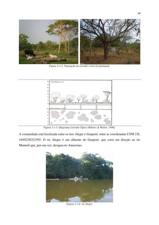 88
Figura 3.1-2: Vegetação do cerrado e área de pastagem.
Figura 3.1-3: Diagrama Cerrado Típico (Ribeiro & Walter, 1998).
A comunidade está localizada entre os rios Alegre e Guaporé, entre as coordenadas UTM 21L
184922/8321592. O rio Alegre é um afluente do Guaporé, que corre em direção ao rio
Mamoré que, por sua vez, desagua no Amazonas.
Figura 3.1-4: rio Alegre
 