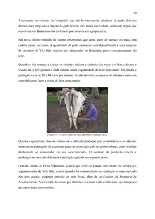 102
Atualmente, os sitiantes do Boqueirão que são historicamente criadores de gado, têm nos
últimos anos ampliado a criação de gado leiteiro com maior intensidade, sobretudo depois que
receberam um financiamento do Estado para investir em agropecuária.
Em nosso último trabalho de campo observamos que áreas antes de cerrado ou mata, tem
cedido espaço ao pasto. A quantidade de gado aumentou consideravelmente e uma empresa
de laticínios de Vila Bela instalou um refrigerador no Boqueirão para o armazenamento do
leite.
Quando o dia começa a clarear os sitiantes iniciam a ordenha das vacas e o leite coletado é
levado até o refrigerador e cada sitiante anota a quantidade de leite depositado. Em média a
produção varia de 50 a 80 litros por sitiante. A cada três dias a empresa de laticínios envia um
caminhão para fazer a coleta do leite armazenado.
Figura 3.3-5: Socó, filho de Seu Martinho, ordenha vaca.
Quanto a agricultura, durante muitos anos, além da produção para a subsistência, os sitiantes
mantiveram plantações de excedente para ser comercializado no centro urbano, onde vendiam
diretamente ao consumidor ou aos supermercados. O aumento da produção leiteira e
mudanças no mercado deixaram a produção agrícola em segundo plano.
Geraldo, irmão de Dona Sebastiana, contou que cultivou tomate com intuito de vender aos
supermercados de Vila Bela, porém quando foi comercializar sua produção o supermercado
não quis aceitar, exigindo emissão de nota fiscal, além de certificados da Secretaria de
Abastecimento. Seu Geraldo terminou por distribuir o tomate entre conhecidos, que tampouco
quiseram pagar pelo produto.
 