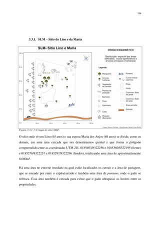 104
3.3.1. SLM – Sítio do Lino e da Maria
Figura 3.3.1-1: Croqui do sítio SLM
O sítio onde vivem Lino (65 anos) e sua esposa Maria dos Anjos (68 anos) se divide, como os
demais, em uma área cercada que ora denominamos quintal e que forma o polígono
compreendido entre as coordenadas UTM 21L 0185403/8322256 e 0185380/8322195 (frente)
e 0185276/8322237 e 0185297/8322296 (fundos), totalizando uma área de aproximadamente
8.000m².
Há uma área no entorno imediato na qual estão localizados os currais e a área de pastagem,
que se estende por entre o capão/cerrado e também uma área de pantano, onde o gado se
refresca. Essa área também é cercada para evitar que o gado ultrapasse os limites entre as
propriedades.
 