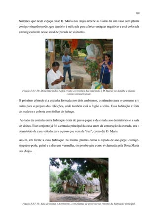 109
Notemos que neste espaço onde D. Maria dos Anjos recebe as visitas há um vaso com planta
comigo-ninguém-pode, que também é utilizada para afastar energias negativas e está colocada
estrategicamente nesse local de parada de visitantes.
Figura 3.3.1-10: Dona Maria dos Anjos recebe os vizinhos Seu Martinho e D. Maria; no detalhe a planta-
comigo-ninguém-pode.
O próximo cômodo é a cozinha formada por dois ambientes, o primeiro para o consumo e o
outro para o preparo das refeições, onde também está o fogão a lenha. Essa habitação é feita
de madeira e coberta com folhas de babaçu.
Ao lado da cozinha outra habitação feita de pau-a-pique é destinada aos dormitórios e a sala
de visitas. Este conjunto já foi a entrada principal da casa antes da construção da estrada, era o
dormitório da casa voltado para o povo que vem da “rua”, como diz D. Maria.
Assim, em frente a essa habitação há muitas plantas como a espada-de-são-jorge, comigo-
ninguém-pode, guiné e a dracena vermelha, ou pomba-gira como é chamada pela Dona Maria
dos Anjos.
Figura 3.3.1-11: Sala de visitas e dormitório, com plantas de proteção no entorno da habitação principal.
 