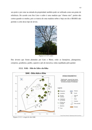 112
seu porte e por estar na entrada da propriedade também pode ser utilizada como um ponto de
referência. De acordo com Seu Lino o cedro é uma madeira que “chama raio”, porém não
cortou quando se mudou, pois se tratava de uma madeira nobre e hoje em dia o IBAMA não
permite o corte desse tipo de árvore.
Figura 3.3.1-15: cedro
Das árvores que foram plantadas por Lino e Maria, estão as laranjeiras, pitangueiras,
cerejeiras, goiabeiras, jambo, cajueiro e pés de mexerica, todas espalhadas pelo quintal.
3.3.2. SAK – Sítio do Ádio e da Kika
Figura 3.3.2-1: croqui do sítio SAK.
 