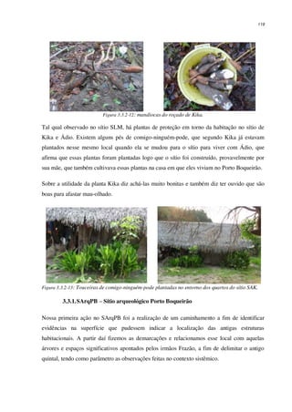 119
Figura 3.3.2-12: mandiocas do roçado de Kika.
Tal qual observado no sítio SLM, há plantas de proteção em torno da habitação no sítio de
Kika e Ádio. Existem alguns pés de comigo-ninguém-pode, que segundo Kika já estavam
plantados nesse mesmo local quando ela se mudou para o sítio para viver com Ádio, que
afirma que essas plantas foram plantadas logo que o sítio foi construído, provavelmente por
sua mãe, que também cultivava essas plantas na casa em que eles viviam no Porto Boqueirão.
Sobre a utilidade da planta Kika diz achá-las muito bonitas e também diz ter ouvido que são
boas para afastar mau-olhado.
Figura 3.3.2-13: Touceiras de comigo-ninguém-pode plantadas no entorno dos quartos do sítio SAK.
3.3.1.SArqPB – Sítio arqueológico Porto Boqueirão
Nossa primeira ação no SArqPB foi a realização de um caminhamento a fim de identificar
evidências na superfície que pudessem indicar a localização das antigas estruturas
habitacionais. A partir daí fizemos as demarcações e relacionamos esse local com aquelas
árvores e espaços significativos apontados pelos irmãos Frazão, a fim de delimitar o antigo
quintal, tendo como parâmetro as observações feitas no contexto sistêmico.
 