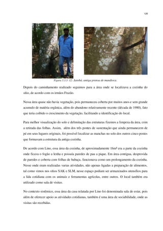 126
Figura 3.3.3- 12: Jatobá, antiga prensa de mandioca.
Depois do caminhamento realizado seguimos para a área onde se localizava a cozinha do
sítio, de acordo com os irmãos Frazão.
Nessa área quase não havia vegetação, pois permaneceu coberta por muitos anos e sem grande
acumulo de matéria orgânica, além do abandono relativamente recente (década de 1980), fato
que teria coibido o crescimento da vegetação, facilitando a identificação do local.
Para melhor visualização do solo e delimitação das estruturas fizemos a limpeza da área, com
a retirada das folhas. Assim, além dos três pontes de sustentação que ainda permanecem de
pé em seus lugares originais, foi possível localizar as manchas no solo dos outros cinco postes
que formavam a estrutura da antiga cozinha.
De acordo com Lino, essa área da cozinha, de aproximadamente 16m² era a parte da cozinha
onde ficava o fogão a lenha e possuía paredes de pau a pique. Em área contigua, desprovida
de paredes e coberta com folhas de babaçu, funcionava como um prolongamento da cozinha.
Nesse onde eram realizadas varias atividades, não apenas ligadas a preparação de alimentos,
tal como vimos nos sítios SAK e SLM, nesse espaço podiam ser armazenados utensílios para
a lida cotidiana com os animais e ferramentas agrícolas, entre outros. O local também era
utilizado como sala de visitas.
No contexto sistêmico, essa área da casa relatada por Lino foi denominada sala de estar, pois
além de oferecer apoio as atividades cotidianas, também é uma área de sociabilidade, onde as
visitas são recebidas.
 