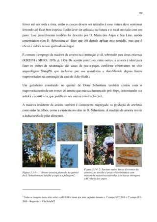 130
ferver até sair toda a tinta, então as cascas devem ser retiradas é essa tintura deve continuar
fervendo até ficar bem espessa. Então deve ser aplicada na fratura e o local enrolado com um
pano. Esse procedimento também foi descrito por D. Maria dos Anjos e Seu Lino, ambos
concordaram com D. Sebastiana ao dizer que dói demais aplicar esse remédio, mas que é
eficaz e coloca o osso quebrado no lugar.
É comum o emprego da madeira da aroeira na construção civil, sobretudo para áreas externas
(RIZZINI e MORS, 1976, p. 115). De acordo com Lino, entre outros, a aroeira é ideal para
fazer os postes de sustentação das casas de pau-a-pique, conforme observamos no sítio
arqueológico SArqPB, que inclusive por sua resistência e durabilidade depois foram
reaproveitados na construção da casa de Ádio (SAK).
Um galinheiro construído no quintal de Dona Sebastiana também contou com o
reaproveitamento de um tronco de aroeira que estava chamuscado pelo fogo, demostrando sua
solidez e resistência, que justificam seu uso na construção civil.
A madeira resistente da aroeira também é comumente empregada na produção de artefatos
como mão de pilões, como a existente no sítio de D. Sebastiana. A madeira da aroeira resiste
a árdua tarefa de pilar alimentos.
Figura 3.3.4 – 1: Árvore aroeira plantada no quintal
de d. Sebastiana no detalhe a copa e a folhagem5
.
Figura 3.3.4- 2: Luciano retira lascas do tronco da
aroeira; no detalhe é possível ver o tronco com
marcas de sucessivas retiradas e as lascas entregues
a D. Maria dos anjos.
5
Todas as imagens desta série sobre a AROEIRA foram por mim captadas durante o 1º campo SET-2008 e 2º.campo JUL-
2009 – Boqueirão – Vila Bela/MT
 