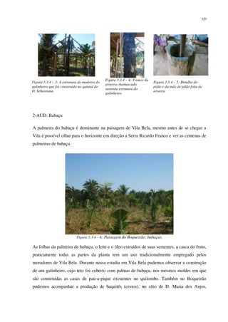 131
Figura 3.3.4 – 3: A estrutura de madeira do
galinheiro que foi construído no quintal de
D. Sebastiana.
Figura 3.3.4 – 4: Tronco da
aroeira chamuscado
sustenta estrutura do
galinheiro.
Figura 3.3.4 – 5: Detalhe do
pilão e da mão de pilão feita de
aroeira.
2-AUD: Babaçu
A palmeira do babaçu é dominante na paisagem de Vila Bela, mesmo antes de se chegar a
Vila é possível olhar para o horizonte em direção a Serra Ricardo Franco e ver as centenas de
palmeiras de babaçu.
Figura 3.3.4 – 6: Paisagem do Boqueirão; babaçus.
As folhas da palmeira de babaçu, o leite e o óleo extraídos de suas sementes, a casca do fruto,
praticamente todas as partes da planta tem um uso tradicionalmente empregado pelos
moradores de Vila Bela. Durante nossa estadia em Vila Bela pudemos observar a construção
de um galinheiro, cujo teto foi coberto com palmas de babaçu, nos mesmos moldes em que
são construídas as casas de pau-a-pique existentes no quilombo. Também no Boqueirão
pudemos acompanhar a produção de baquités (cestos), no sítio de D. Maria dos Anjos,
 