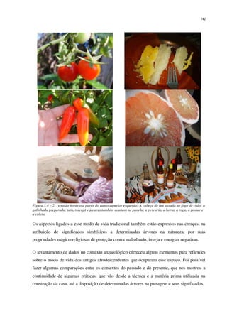 142
Figura 3.4 – 2: (sentido horário a partir do canto superior esquerdo) A cabeça de boi assada no fogo de chão; a
galinhada preparada; tatu, tracajá e jacarés também acabam na panela; a pescaria, a horta, a roça, o pomar e
a coleta.
Os aspectos ligados a esse modo de vida tradicional também estão expressos nas crenças, na
atribuição de significados simbólicos a determinadas árvores na natureza, por suas
propriedades mágico-religiosas de proteção contra mal olhado, inveja e energias negativas.
O levantamento de dados no contexto arqueológico ofereceu alguns elementos para reflexões
sobre o modo de vida dos antigos afrodescendentes que ocuparam esse espaço. Foi possível
fazer algumas comparações entre os contextos do passado e do presente, que nos mostrou a
continuidade de algumas práticas, que vão desde a técnica e a matéria prima utilizada na
construção da casa, até a disposição de determinadas árvores na paisagem e seus significados.
 
