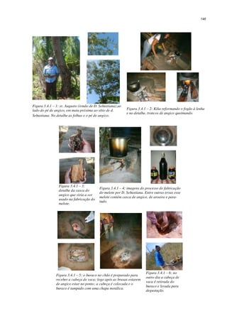 148
Figura 3.4.1 – 1: sr. Augusto (irmão de D. Sebastiana) ao
lado do pé de angico, em mata próxima ao sítio de d.
Sebastiana. No detalhe as folhas e o pé de angico.
Figura 3.4.1 – 2: Kika reformando o fogão à lenha
e no detalhe, troncos de angico queimando.
Figura 3.4.1 – 3:
detalhe da casca do
angico que viria a ser
usado na fabricação do
melote.
Figura 3.4.1 – 4: imagens do processo de fabricação
do melote por D. Sebastiana. Entre outras ervas esse
melote contém casca de angico, de aroeira e para-
tudo.
Figura 3.4.1 – 5: o buraco no chão é preparado para
receber a cabeça de vaca; logo após as brasas estarem
de angico estar no ponto; a cabeça é colocada e o
buraco é tampado com uma chapa metálica.
Figura 3.4.1 – 6: no
outro dia a cabeça de
vaca é retirada do
buraco e levada para
degustação.
 