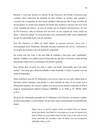 153
Durante a visita que fizemos ao terreiro de pai Francisco, em Cuiabá verificamos que
existiam vários espécimes de embaúba na área contigua ao terreiro, que segundo o
sacerdote são consagrados ao orixá Iansã, também conhecida por Oiá. E que, as folhas da
árvore podem ser usadas para preparar um banho para acalmar as pessoas tem esse orixá
como “entidade de cabeça”, ou seja, de acordo com as religiões afro-brasileiras, no caso
de Pai Francisco, cada ser humano tem um orixá, ou um conjunto de orixás sendo um
deles o “dono da cabeça” ou orixá principal. Esse entendimento pode variar dependendo
do tipo de candomblé ou da visão do sacerdote.
Para Pai Francisco os filhos de Iansã podem ser pessoas nervosas, nesse caso a
recomendação de D. Sebastiana indicando chá para tratamento dos nervos, confirmaria a
associação dessa planta com a divindade do candomblé.
De acordo com Seu Lino, o chá com folha de embaúba é bom para curar “quebradura”
(hérnia). Também com a folha é possível fazer pólvora, que deve ser torrada, socada até ficar
toda moída e depois deve ser misturada com enxofre e pimenta.
Essa mistura deve ser posta pra secar e, então o pó ficará “envenenado, que é pra matar
mesmo”. Lino disse que a fruta da embaúba é muito bonitinha, é verde e se parece com um
cacho de bananinhas.
Outra referência feita por D. Sebastiana a essa árvore é que em seu caule sempre pode se
encontrar muitas formigas, cuja picada é a mais dolorida de todas. E de acordo com a
bibliografia botânica, nos troncos e galhos ocos dessa árvore pioneira originária do Brasil
tropical, frequentemente habitam formigas (SIMÕES, et. al, 1998, p. 97; NETO, 2009,
p.197).
De posse das informações prestadas por D. Sebastiana e Pai Francisco, recorremos à análise
de mitos relacionados a esta divindade. Um dos mitos narra a transformação de Iansã/Oiá num
búfalo:
Ogum caçava na floresta quando avistou um búfalo/ Ficou na espreita,
pronto para abater a fera/ Qual foi a sua surpresa ao ver que, de repente sob a
pele do búfalo saiu uma mulher linda/ Era Oiá. E não se deu conta de estar
sendo observada/ Ela escondeu a pele do búfalo [em um formigueiro]
(PRANDI, 2001a, p. 297).
 