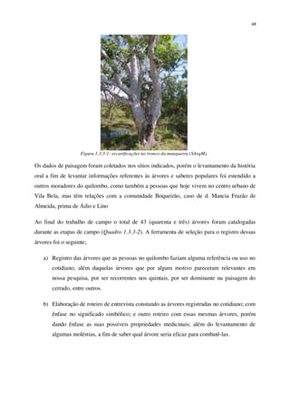 48
Figura 1.3.3-1: escarificações no tronco da mangueira (SArqM).
Os dados de paisagem foram coletados nos sítios indicados, porém o levantamento da história
oral a fim de levantar informações referentes às árvores e saberes populares foi estendido a
outros moradores do quilombo, como também a pessoas que hoje vivem no centro urbano de
Vila Bela, mas têm relações com a comunidade Boqueirão, caso de d. Mancia Frazão de
Almeida, prima de Ádio e Lino
Ao final do trabalho de campo o total de 43 (quarenta e três) árvores foram catalogadas
durante as etapas de campo (Quadro 1.3.3-2). A ferramenta de seleção para o registro dessas
árvores foi o seguinte;
a) Registro das árvores que as pessoas no quilombo faziam alguma referência ou uso no
cotidiano; além daquelas árvores que por algum motivo pareceram relevantes em
nossa pesquisa, por ser recorrentes nos quintais, por ser dominante na paisagem do
cerrado, entre outros.
b) Elaboração de roteiro de entrevista constando as árvores registradas no cotidiano; com
ênfase no significado simbólico; e outro roteiro com essas mesmas árvores, porém
dando ênfase as suas possíveis propriedades medicinais; além do levantamento de
algumas moléstias, a fim de saber qual árvore seria eficaz para combatê-las.
 