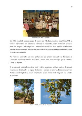 56
Figura 1.3.3-4: Mãe Caçulinha
Em 2009, concluída uma das etapas de campo em Vila Bela, seguimos para Cuiabá/MT na
tentativa de localizar um terreiro de umbanda ou candomblé, dando andamento ao nosso
plano de pesquisa. No campus da Universidade Federal do Mato Grosso estabelecemos
contato com um estudante filho de santo de Pai Francisco, um zelador de candomblé – como
ele prefere ser nomeado.
Pai Francisco concordou em nos receber em seu terreiro localizado na Passagem da
Conceição, localidade histórica de Várzea Grande, onde esse município que é vizinho a
Cuiabá se originou.
O terreiro está localizado em área rural e vários espécimes arbóreos nativos do cerrado
puderam ser identificados no espaço do terreiro e também no entorno. Entre muitas árvores
Pai Francisco tem plantado em seu terreiro uma lixeira, árvore muito frequente nos cerrados
de Vila Bela.
Figura 1.3.3-5: Lixeira de Pai Francisco
 