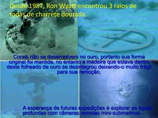 Desde 1987, Ron Wyatt encontrou 3 raios de
rodas de charrete dourada.

Corais não se desenvolvem no ouro, portanto sua forma
original foi mantida, no entanto a madeira que estava dentro
deste folheado de ouro se desintegrou deixando-o muito frágil
para sua remoção.

A esperança de futuras expedições é explorar as águas
profundas com câmeras remotas mini-submarinos.

 