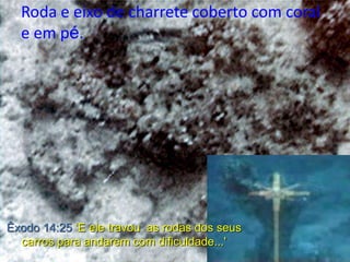 Roda e eixo de charrete coberto com coral
e em pé.

Êxodo 14:25 ‘E ele travou as rodas dos seus
carros para andarem com dificuldade...'

 