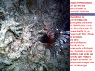 Ossos Mineralizados,
um dos muitos
encontrados na
travessia testados
pelo Departamento de
Osteologia da
Universidade de
Estocolmo, um deles
foi identificado como
um femur humano da
perna direita de um
homem de 165-170cm
de estatura.
Ele está
essencialmente
‘fossilizado’ e
totalmente substituido
por minerais e corais
portanto não pode ser
datado pelo método
de radio carbono, no
entanto este espécime
era muito antigo.

 