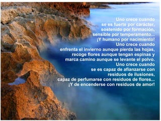 Uno crece cuando se es fuerte por carácter, sostenido por formación, sensible por temperamento... ¡Y humano por nacimiento! Uno crece cuando enfrenta el invierno aunque pierda las hojas, recoge flores aunque tengan espinas y marca camino aunque se levante el polvo. Uno crece cuando se es capaz de afianzarse con residuos de ilusiones, capaz de perfumarse con residuos de   flores... ¡Y de encenderse con residuos de amor! 