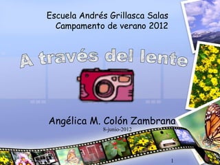 Escuela Andrés Grillasca Salas
  Campamento de verano 2012




Angélica M. Colón Zambrana
             8-junio-2012




                                 1
 