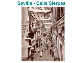 Sevilla - Calle Sierpes
 