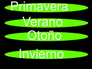Primavera
  Verano
   Otoño
 Invierno
 