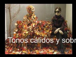Tonos cálidos y sobr
 