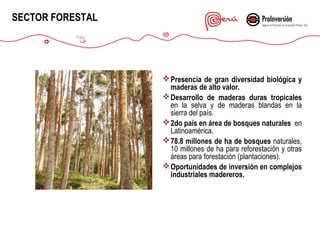 SECTOR FORESTAL

 Presencia de gran diversidad biológica y
maderas de alto valor.
 Desarrollo de maderas duras tropicales
en la selva y de maderas blandas en la
sierra del país.
 2do país en área de bosques naturales en
Latinoamérica.
 78.8 millones de ha de bosques naturales,
10 millones de ha para reforestación y otras
áreas para forestación (plantaciones).
 Oportunidades de inversión en complejos
industriales madereros.

 