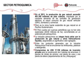 SECTOR PETROQUIMICA
En el 2011, la producción de gas natural ascendió
401,169 millones de pies cúbicos, impulsada por la
creciente demanda de las centrales de generación
eléctrica, el mayor consumo de gas natural vehicular
(GNV), doméstico y comercial.
Perú es la única fuente sostenible de gas natural en el
Pacífico Sudamericano.
El Perú cuenta con cuencas petrolíferas que no han sido
exploradas (26.60 millones de ha), convirtiéndolo en un
potencial polo petroquímico.
La Industria petroquímica se integra hacia atrás con la
producción de gas natural y otros hidrocarburos
líquidos, asignándole un significativo valor agregado.
Entre los productos generados por la Industria
Petroquímica Final se encuentran los fertilizantes, plásticos
y detergentes.
Compromiso de US$ 17,150 millones de inversión
privada para la construcción de 2 plantas de amoníaco, 2
plantas de nitrato de amonio, una planta de urea y una
planta de etileno (departamentos de Ica y Moquegua)

 