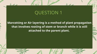 tree is known by its fruit; a man by his deeds. | PPTX