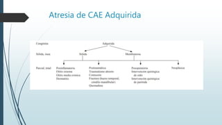 Atresia de CAE Adquirida
 