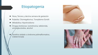 Etiopatogenia
 Noxa, Tercera y decima semana de gestación
 Rubeola, Citomegalovirus, Toxoplasma Gondii
 Metabólica: Hipotiroidismo
 Drogas ototóxicas: isotretinoina, talidomida,
aminoglucósidos, alcohol
 Genética aislada o síndrome polimalformativo,
indeterminada
 