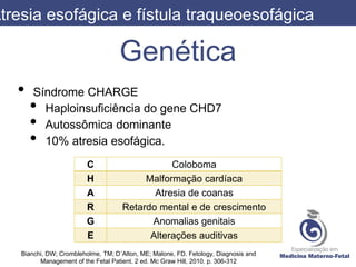 Genética
• Síndrome CHARGE
• Haploinsuficiência do gene CHD7
• Autossômica dominante
• 10% atresia esofágica.
Atresia esofágica e fístula traqueoesofágica
Bianchi, DW; Crombleholme, TM; D´Alton, ME; Malone, FD. Fetology, Diagnosis and
Management of the Fetal Patient. 2 ed. Mc Graw Hill, 2010. p. 306-312
C Coloboma
H Malformação cardíaca
A Atresia de coanas
R Retardo mental e de crescimento
G Anomalias genitais
E Alterações auditivas
 