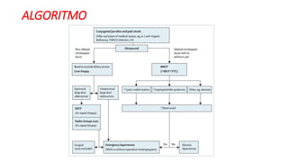 ALGORITMO
 