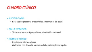 CUADRO CLÍNICO
• ASCITIS E HTP:
• Rara vez se presenta antes de los 10 semanas de edad.
• FALLA HEPÁTICA:
• Síndrome hemorrágico, edema, circulación colateral.
• EXAMEN FÍSICO:
• Ictericia de piel y escleras
• Abdomen con discreta a moderada hepatoesplenomegalia.
 