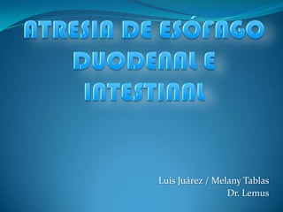 Luis Juárez / Melany Tablas
Dr. Lemus

 