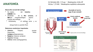 ATRESIA ESOFAGICA GENERALIDADES Y EMBRIOLOGIA .pptx