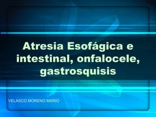 Atresia Esofágica e
intestinal, onfalocele,
gastrosquisis
VELASCO MORENO MARIO
 