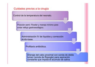 Cuidados previos a la cirugía
Control de la temperatura del neonato.
Posición semi- Flowler y manejo mínimo para
evitar reflujo gastroesofágico.
Administración IV de líquidos y corrección
ácido-base.
Profilaxis antibiótica.
Drenaje del cabo proximal con sonda de doble
lumen (sonda de Ropogle) para aspiración
constante que impida el acumulo de saliva.
 