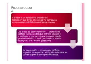 FISIOPATOGENI
A
Se debe a un defecto del proceso de
tabicación que divide al esófago y a la tráquea
en un cordón epitelial de crecimiento interno.
Las áreas de estrechamiento laterales del
esófago forman un tabique entre la tráquea y
el esófago y que de manera anómala puede
girarla en sentido dorsal, resultando la atresia
esofágica.( día 19 de la gestación)
La interrupción u oclusión del esófago
impedirá la deglución del líquido amniótico, lo
que se expresara con polihidramnios.
 