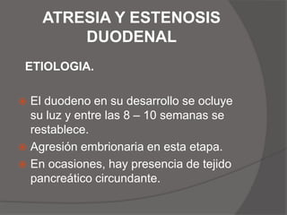 ATRESIA Y ESTENOSIS DUODENALETIOLOGIA.El duodeno en su desarrollo se ocluye su luz y entre las 8 – 10 semanas se restablece.Agresión embrionaria en esta etapa.En ocasiones, hay presencia de tejido pancreático circundante.  