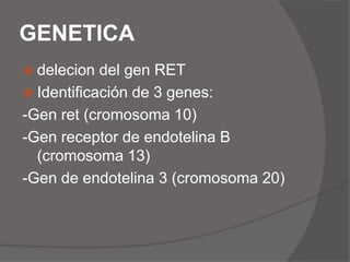 TRATAMIENTOEl abordaje quirúrgico depende: estado clínico del paciente, nivel de la atresia, estado del intestino proximal, etc.Se prefiere el abordaje quirúrgico por etapas:Resección del colon dilatado , colostomía.