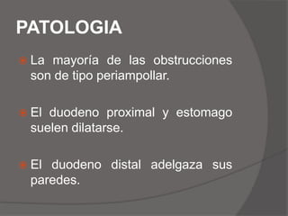 PATOLOGIALa mayoría de las obstrucciones son de tipo periampollar.El duodeno proximal y estomago suelen dilatarse.El duodeno distal adelgaza sus paredes.