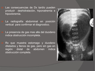 Vómitos pueden ser de color claro, bilioso, o con sangre.