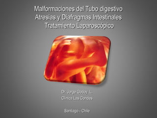 Malformaciones del Tubo digestivo
Atresias y Diafragmas Intestinales
Tratamiento Laparoscópico

Dr. Jorge Godoy L.
Clínica Las Condes
Santiago - Chile

 
