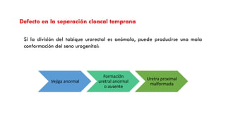 atresia uretra en urologia pediatrica [Autoguardado].pptx