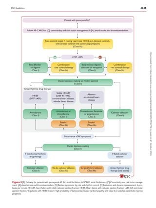 Rate control target = resting heart rate <110 b.p.m. (lenient control),
with stricter control with continuing symptoms
(Class IIa)
Beta-blocker
or digoxin
(Class I)
Patient with paroxysmal AF
LVEF ≤40%
Beta-blocker, digoxin,
diltiazem or verapamil
(Class I)
Combination
rate control therapy
(Class IIa)
Combination
rate control therapy
(Class IIa)
Amiodarone
(Class I)
Dronedarone, flecainide
or propafenone
(Class I)
Catheter ablation
(Class I)
Amiodarone or
dronedarone
(Class I)
Sotalol
(Class IIb)
HFrEF
(LVEF ≤40%)
Stable HFmrEF
(LVEF 41–49%),
coronary heart disease,
valvular heart disease
Absence
or minimal heart
disease
Sotalol
(Class IIb)
Recurrence of AF symptoms
Antiarrhythmic drug therapy
Y N
Shared decision-making on rhythm control
(Class I)
If failed antiarrhythmic
drug therapy
If failed catheter
ablation
Re-do catheter ablation
(Class IIa)
Surgical/hybrid ablation
(Class IIb)
Antiarrhythmic drug
therapy (see above)
Catheter ablationa
(Class I)
Shared decision-making
(Class I)
Follow AF-CARE for [C] comorbidity and risk factor management & [A] avoid stroke and thromboembolism
Figure 5 [R] Pathway for patients with paroxysmal AF. AF, atrial fibrillation; AF-CARE, atrial fibrillation—[C] Comorbidity and risk factor manage­
ment, [A] Avoid stroke and thromboembolism, [R] Reduce symptoms by rate and rhythm control, [E] Evaluation and dynamic reassessment; b.p.m.,
beats per minute; HFmrEF, heart failure with mildly reduced ejection fraction; HFrEF, Heart failure with reduced ejection fraction; LVEF, left ventricular
ejection fraction. a
In patients with HFrEF: Class I if high probability of tachycardia-induced cardiomyopathy; and Class IIa in selected patients to improve
prognosis.
ESC Guidelines 3335
Downloaded
from
https://academic.oup.com/eurheartj/article/45/36/3314/7738779
by
guest
on
21
October
2024
 