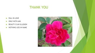 THANK YOU
FALL IN LOVE
ONLY WITH AIM
BEAUTY IS AN ILLUSION
NOTHING LIES IN NAME