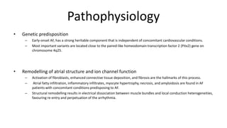 Pathophysiology
• Genetic predisposition
– Early-onset AF, has a strong heritable component that is independent of concomitant cardiovascular conditions.
– Most important variants are located close to the paired-like homeodomain transcription factor 2 (Pitx2) gene on
chromosome 4q25.
• Remodelling of atrial structure and ion channel function
– Activation of fibroblasts, enhanced connective tissue deposition, and fibrosis are the hallmarks of this process.
– Atrial fatty infiltration, inflammatory infiltrates, myocyte hypertrophy, necrosis, and amyloidosis are found in AF
patients with concomitant conditions predisposing to AF.
– Structural remodelling results in electrical dissociation between muscle bundles and local conduction heterogeneities,
favouring re-entry and perpetuation of the arrhythmia.
 