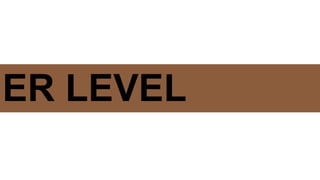 21
ER LEVEL
 